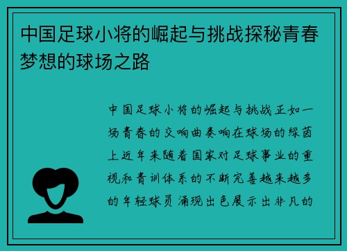 中国足球小将的崛起与挑战探秘青春梦想的球场之路