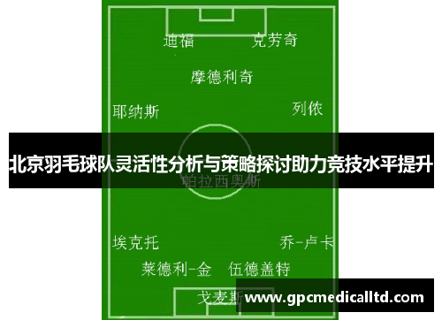 北京羽毛球队灵活性分析与策略探讨助力竞技水平提升